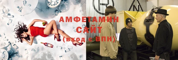 индика Абаза