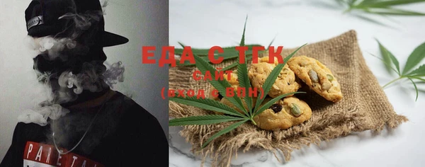индика Абаза