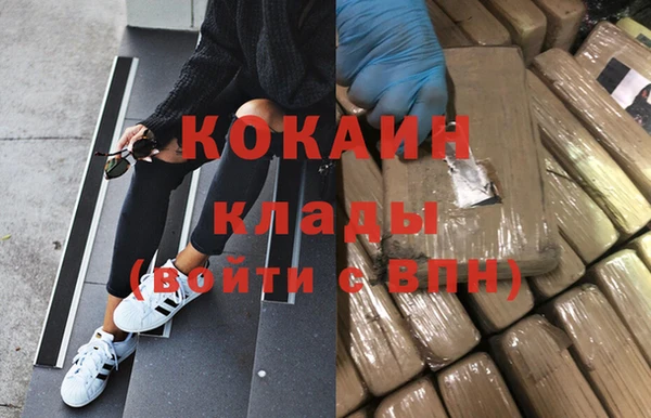 индика Абаза