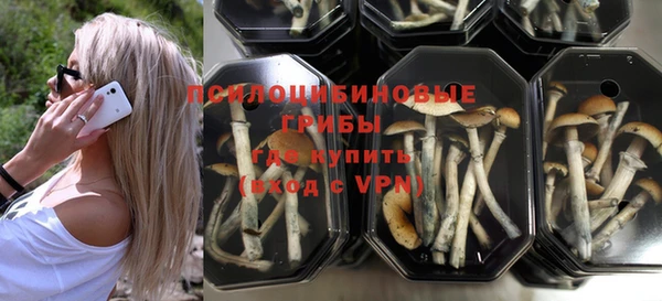 индика Абаза
