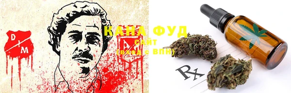 индика Абаза